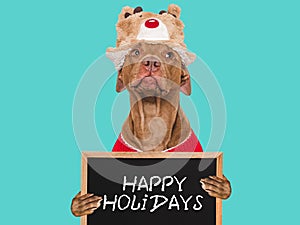 Happy Holidays. Lovable dog and sign Close-up