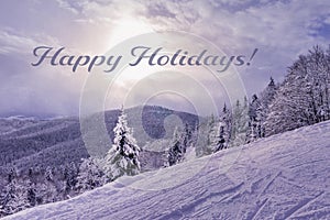 Happy holidays sign on winter landscape background