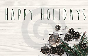 Happy Holidays text on modern christmas flat lay with green fir