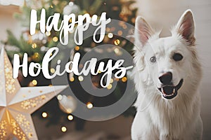 Happy Holidays text sign on cute happy dog sitting on background of stylish christmas tree with illuminated star and lights.