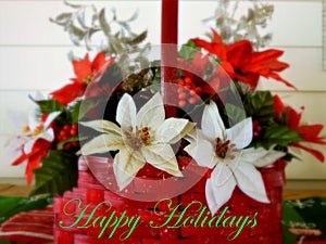 Happy Holidays with White Poinsettia`s