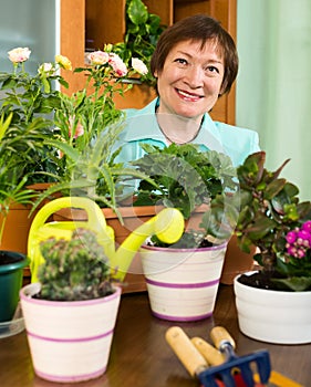 Happy housewife working with fresh flowers in pots