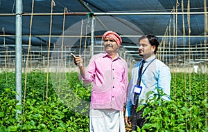 Happy indian famer explaining about crop growth or yield to banking officer or epxert during visit at greenhouse -