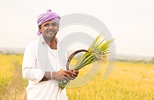 Happy Indian farmer Holding sickle and Paddy crop in hand - Concept good crop yields due to monsoon rains
