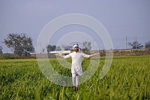 Happy indian farmer walking and spreading his arms in his growing fields