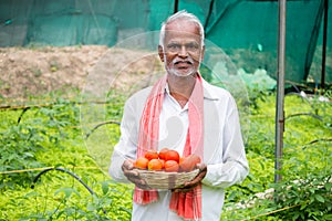 Happy Inidan farmer holding fresh farm produce tomatoes at greenhouse or polyhouse and looking at camera - cocept of good crop