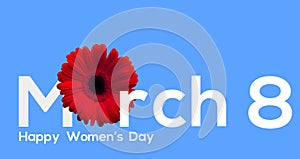 Happy International Women`s Day, Banner for Women day, happy 8 March