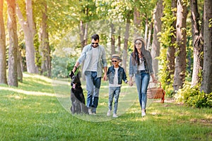 Happy interracial family with picnic basket walking with dog in forest