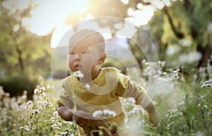 Happy joyful Asia Chinese little boy toddler child enjoy Spring have fun outside embrace nature outdoor carefree childhood flower