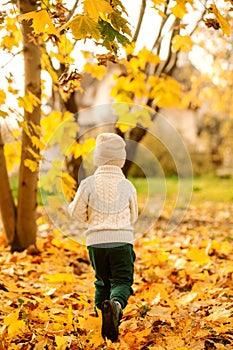 happy joyful child runs through the autumn park on a sunny day. Camping