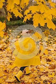 happy joyful child runs through the autumn park in a yellow raincoat. Camping