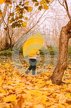 happy joyful child runs through the autumn park with an yellow umbrella. Camping