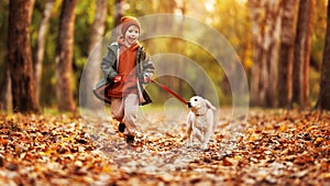 Happy joyful little boy walking with dog white golden retriever puppy in beautiful autumn forest