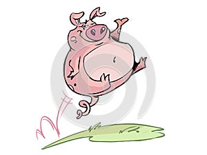 Happy jumping pig