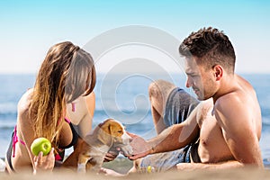 Happy just married couple lay on the beach eating apple, playing with little dog