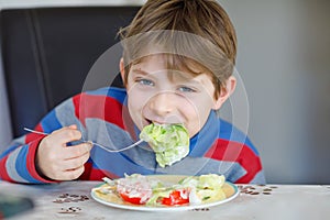 Happy kid boy eating fresh salad with tomato, cucumber and different vegetables as meal or snack. Healthy child enjoying