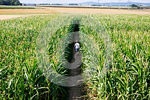 Happy kid boy playing on corn labyrinth field on organic farm, outdoors. Funny child hild having fun with running