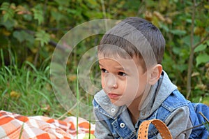 Happy kid eating fruits. happy cute child boy eating an apple. lies on a coverlet in an autumn park