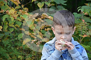 Happy kid eating fruits. happy cute child boy eating an apple. in an autumn park