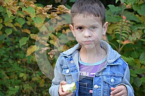 Happy kid eating fruits. happy cute child boy eating an apple. in an autumn park