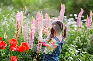 Happy kid girl with ponytails in a denim overalls with shorts and a multi-colored t-shirt stands among a flower field. pink lupins