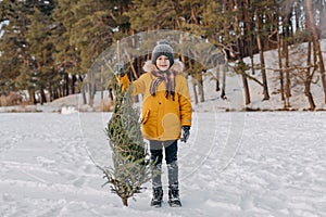 Happy kid holding in hands cut christmas tree on the background of snowy forest. Boy with xmas fir tree. Concept of winter