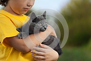 Happy kid with a kitten