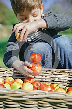 Happy kid playing with apples over wicker basket