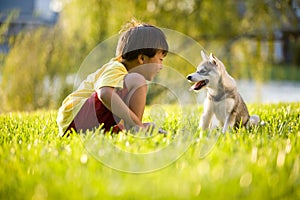 Happy kid and puppy dog playing outdoors