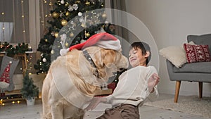 Happy kid putting santa hat on dog