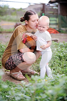 Happy kid stroking the chicken mom`s hands. The concept of tasty and healthy ecological food