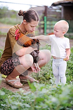 Happy kid stroking the chicken mom`s hands. The concept of tasty and healthy ecological food