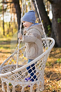 Happy kid swinging in a hanging chair in a forest in autumn