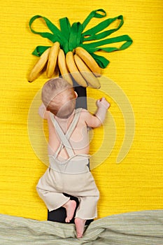 Happy kid wants to have banana fruit. Palm tree with growing bananas