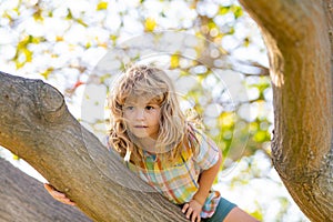 Happy kids climbing up tree and having fun in summer park.