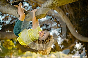 Happy kids climbing up tree and having fun in summer park. Kids climbing trees, hanging upside down on a tree in a park