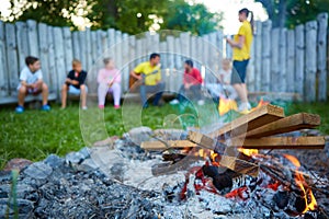 Happy kids having fun around camp fire