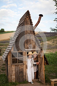 Happy kids having fun hiding in a fantasy wooden playhouse