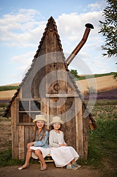 Happy kids having fun hiding in a fantasy wooden playhouse