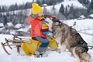 Happy kids having fun with husky dog and riding the sledge in the winter snowy forest, enjoy winter season. Winter