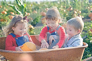 Happy kids sitting inside wheelbarrow at field pumpkin patch