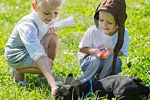 Happy kids playing with the dog, French bulldog