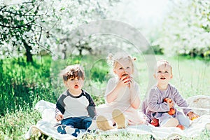 Happy Kids playing in sunny park on meadow enjoying and eating apples. Childhood Lifestyle Outdoor Friendship Generation