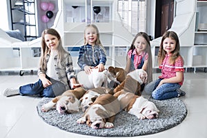 Happy kids with puppies of English bulldog on the floor