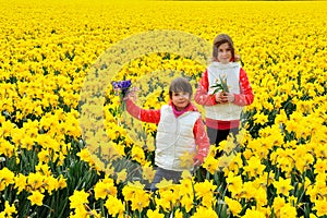 Happy kids with spring flowers on yellow daffodils field, children on vacation in Netherlands