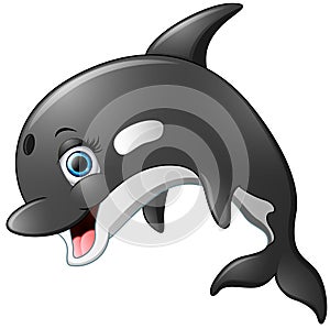 Happy killer whale cartoon