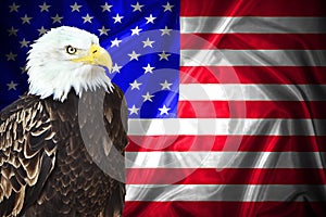 Happy Labor day banner, american patriotic background. American Bald Eagle - symbol of america -with flag