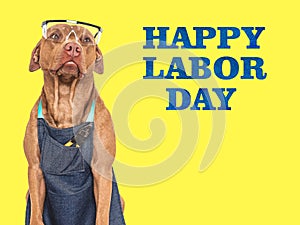 Happy Labor Day. Cute brown dog, apron and goggles