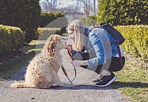 Happy Labradoodle Dog and woman outside at the park