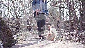 Happy labradoodle dog and woman outside at the park